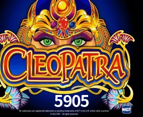 5905 Curitiba - Live Status